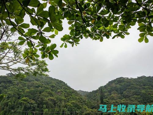 高效网站建设流程与管理策略分享